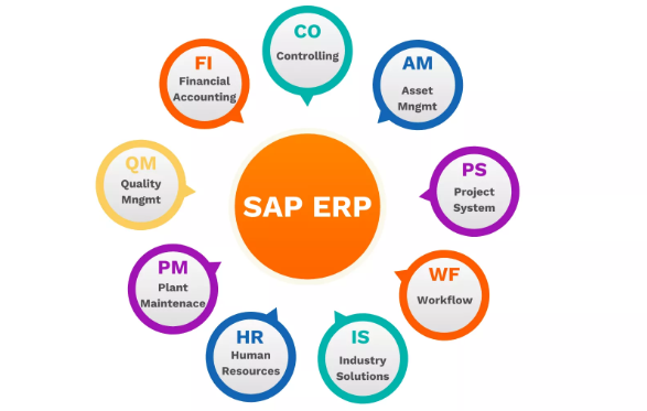 Advantages of Incorporating SAP ERP: 6 Key Benefits